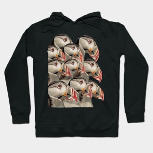 Puffins 3 Hoodie